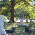 Removing Trees Near Cemeteries in Winchester, Virginia: What You Need to Know