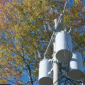 Removing Trees Near Power Lines in Winchester, Virginia: What You Need to Know