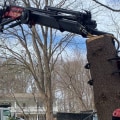 Tree Removal in Winchester, Virginia: What Equipment is Needed?