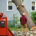 How Much Does it Cost to Remove a Tree in Winchester, VA?