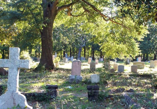 Removing Trees Near Cemeteries in Winchester, Virginia: What You Need to Know