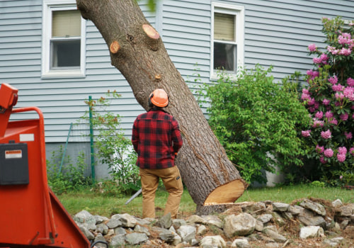 How Much Does it Cost to Remove a Tree in Winchester, VA?